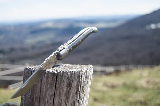 Andre Verdier Laguiole PRESTIGE folding pocket knife 12 cm, Ebony Wood Handle, Made In France